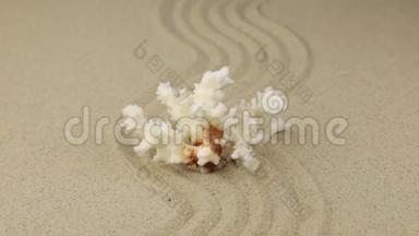 缩放，珊瑚躺在一个<strong>锯齿</strong>状的沙子上。